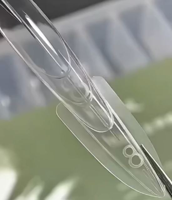 Online mokymai - Viršutinių formelių UPDOWN mokymai