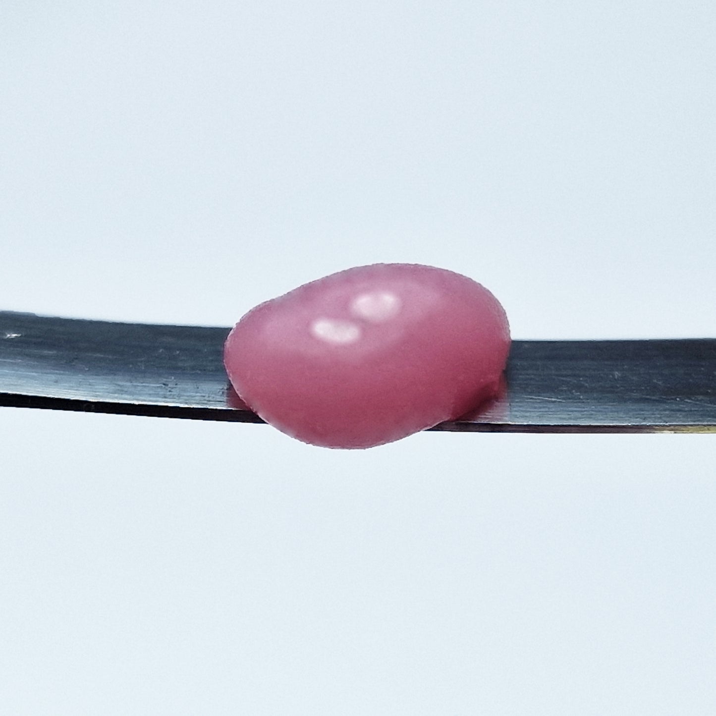MAKEAR™ POLYGEL/ACRYLGEL - COVER PINK