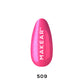 SPALVA - 509