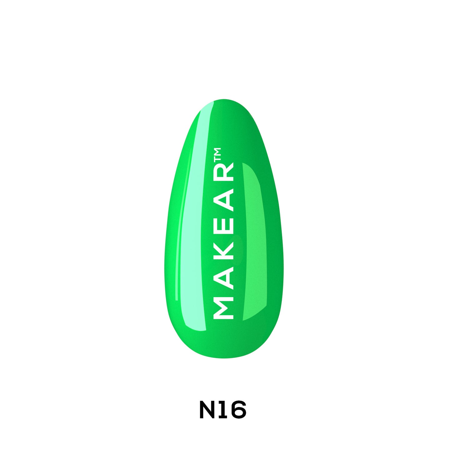 SPALVA - N16