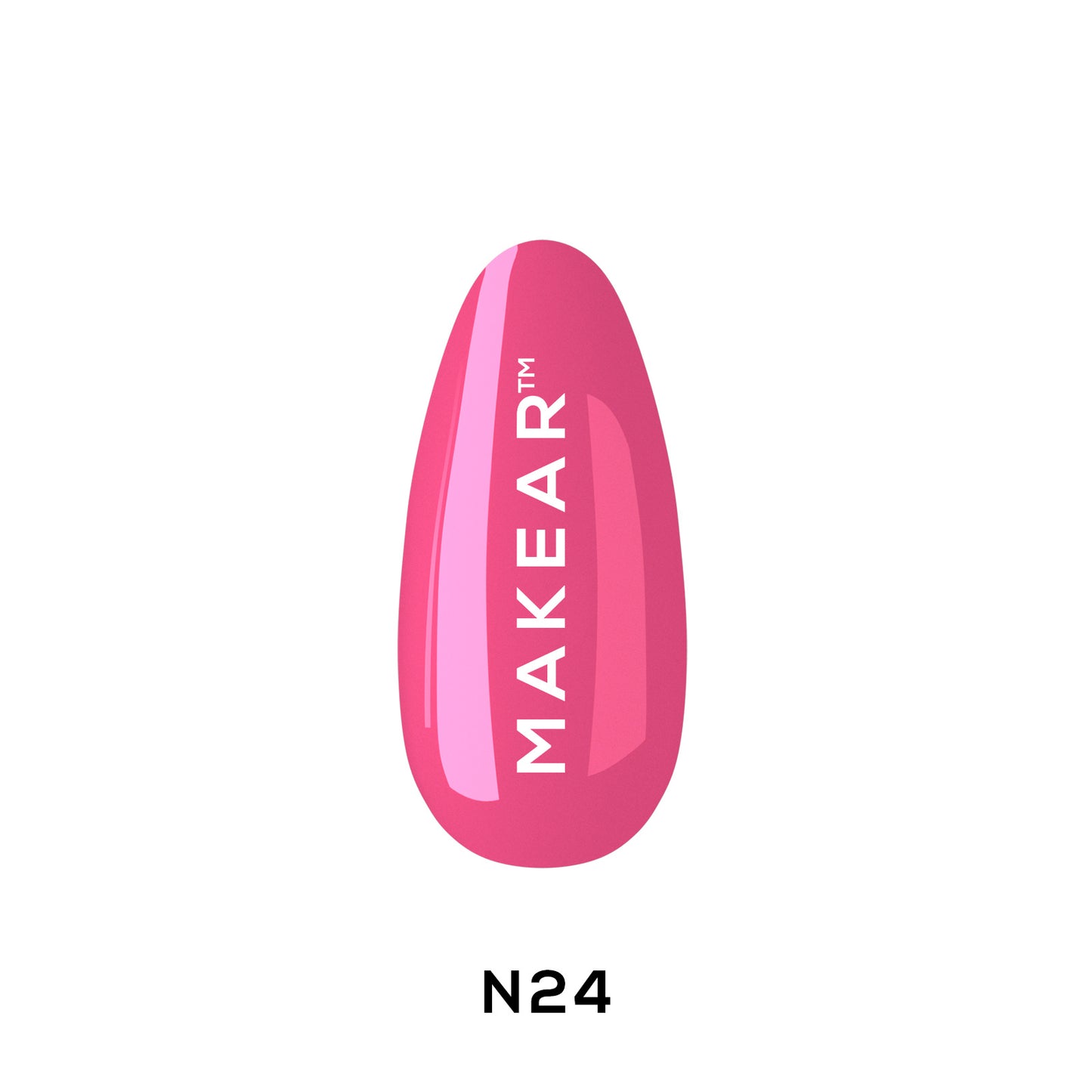 SPALVA - N24
