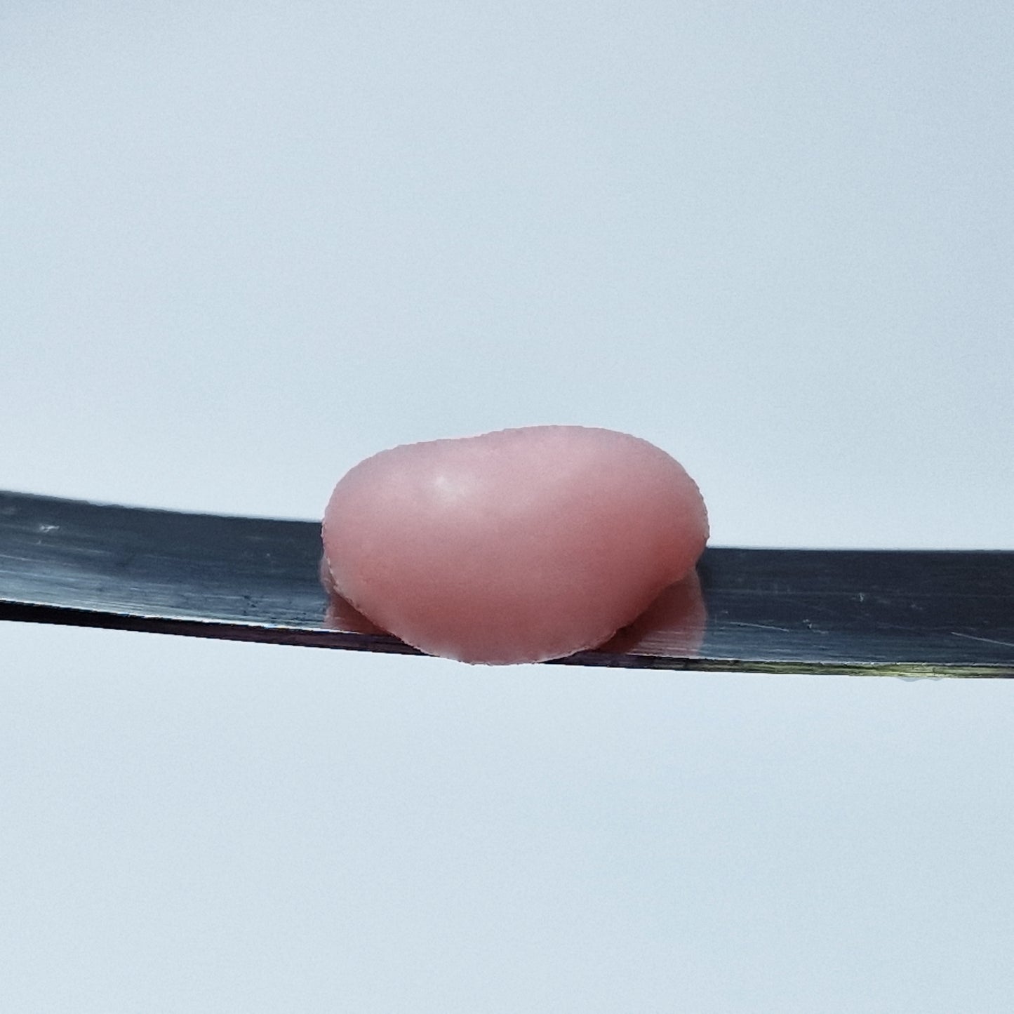 MAKEAR™ POLYGEL/ACRYLGEL - NUDE PINK