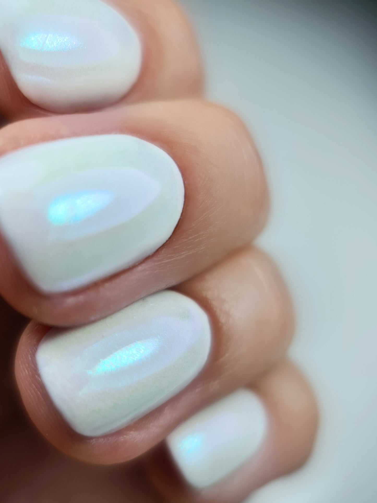 Mokymai KLAIPĖDOJE - PROFI MANICURE - Sausio 7d